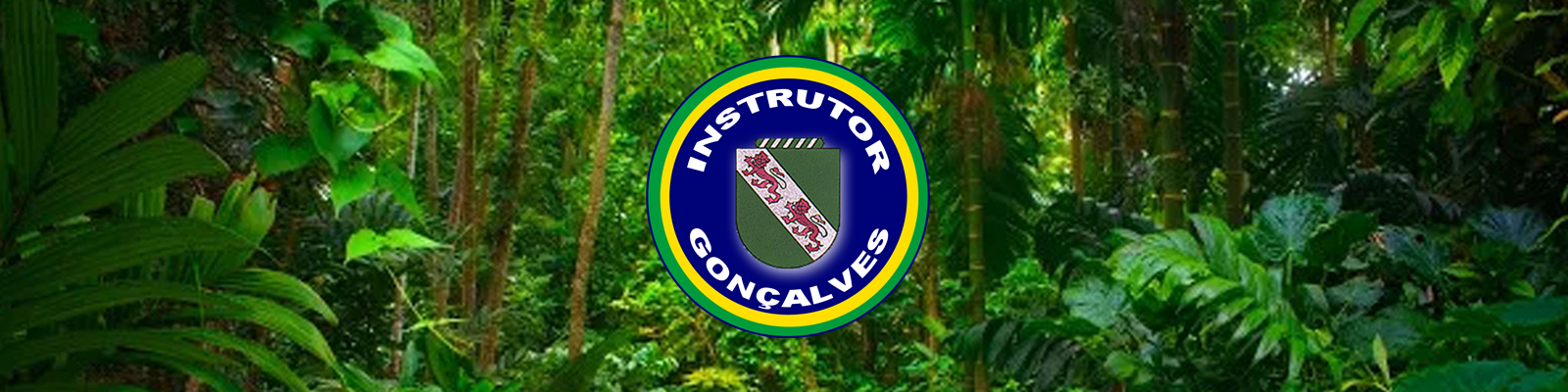 Cabecalho do portal Instrutor Goncalves